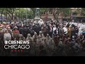 May the 4th Be With You: Star Wars fans gather for annual celebration