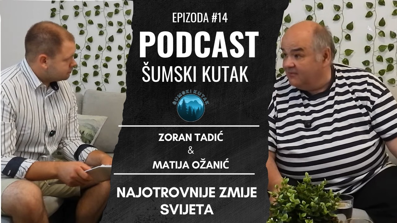 Podcast Šumski kutak----Najotrovniije zmije svijeta (Zoran Tadić)---The World’s Most Venomous Snakes