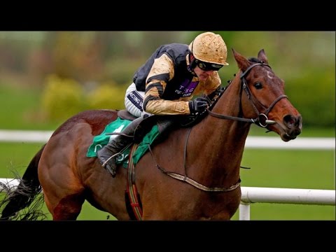 Bellshill - Limerick Group 2 Novice Chase (26/12/16)