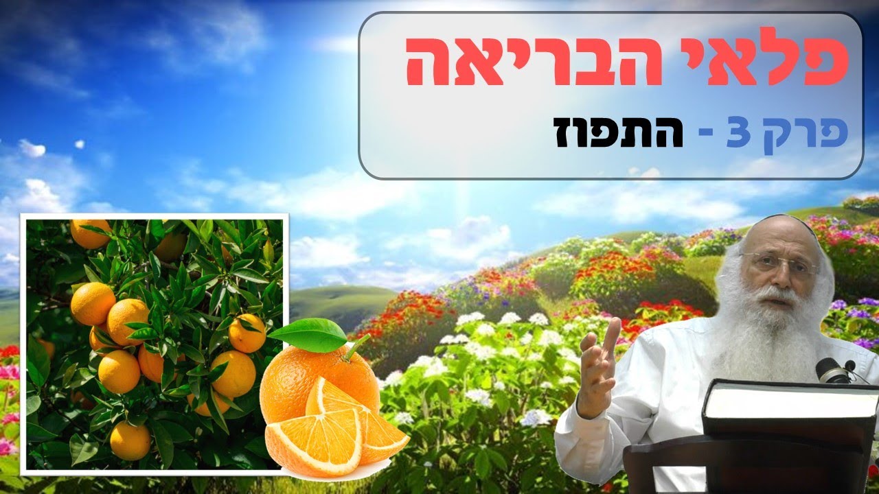 פלאי הבריאה | פרק 3 - התפוז | הרב יהודה עמית.
