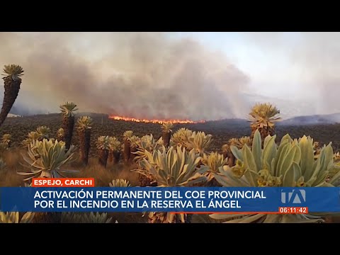 Bomberos del Ecuador trabajan para sofocar el incendio en la Reserva Ecológica El Ángel