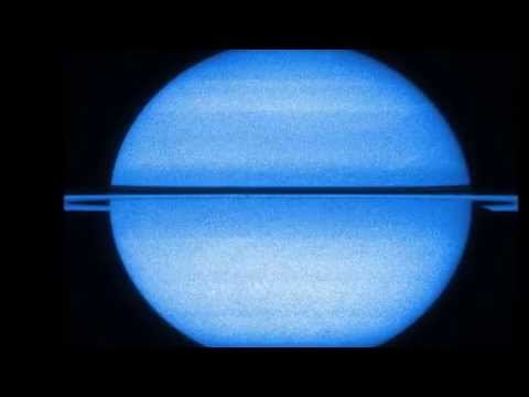 The 1981   SNOW (FUTURE LO FI EDIT)