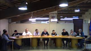 Ple ordinari del 21 de març de 2019