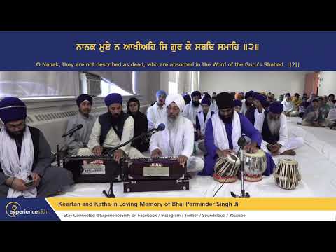 Bhai Gursev Singh - Safaleyo Satgur Seveya Dhan Janam Parvaan