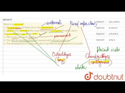 What are not true? a. Dermal scales of fishes form the exoskeleton b. cycloid and ctenoid scales