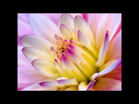 laiyan laiyan main tere naal-anand raaj anand