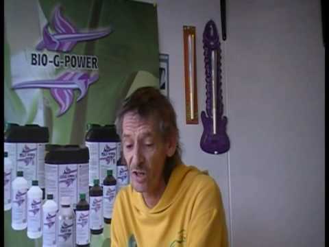 Haagse Sjonnie - Journaal week 2