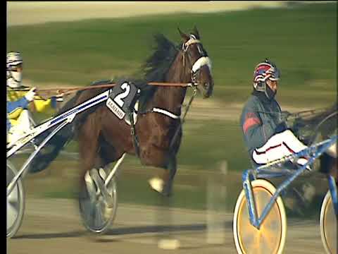 Trotto 23/01/2018 - 5ª corsa