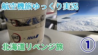 【航空機旅ゆっくり実況】第20回 北海道リベンジ旅①