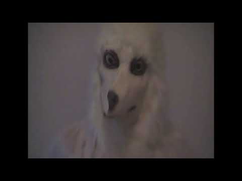 Grandpa never went to heaven