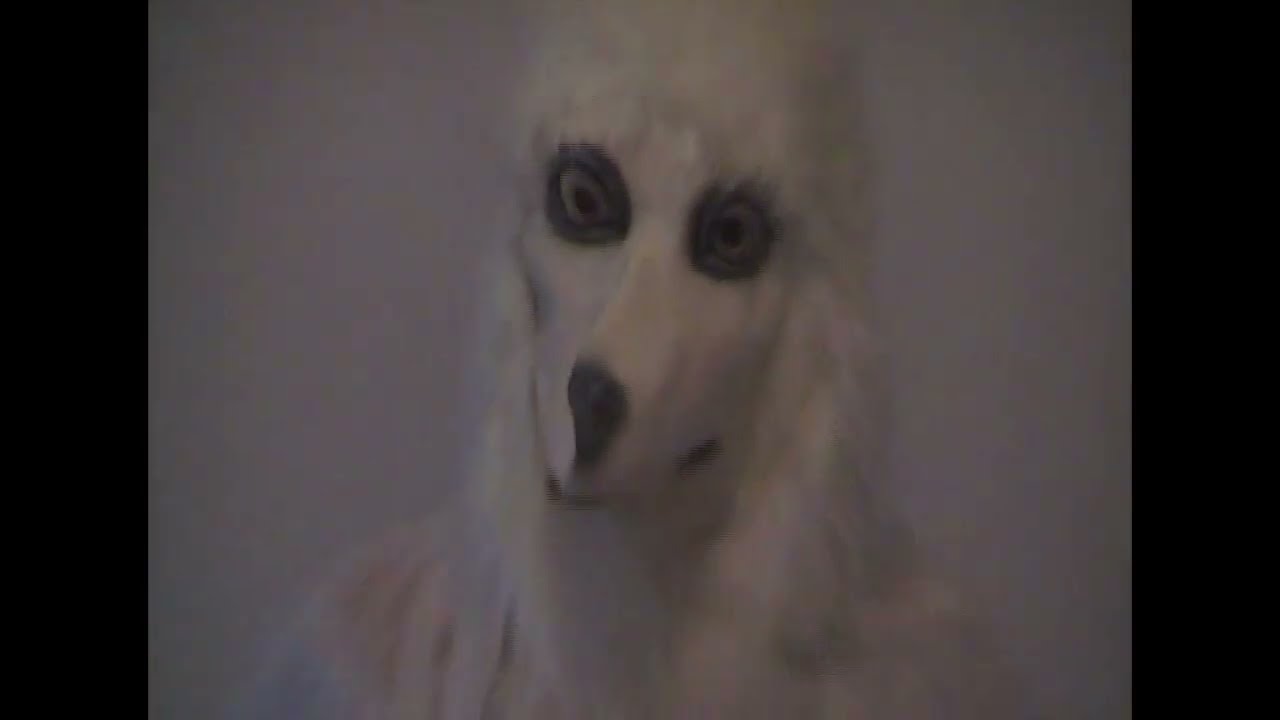 Grandpa never went to heaven