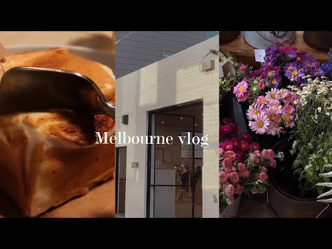 Melbourne vlog|Tokyo lamington,Nicole,日日甜點的探索,超特別的薑餅人拿鐵