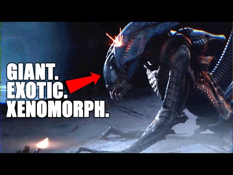GIANT. EXOTIC. XENOMORPH.