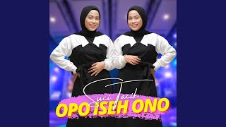 Download lagu Opo Iseh Ono mp3