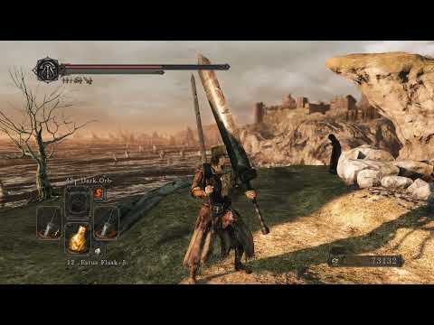Dark Souls 2 Power-Stance with greatswords.