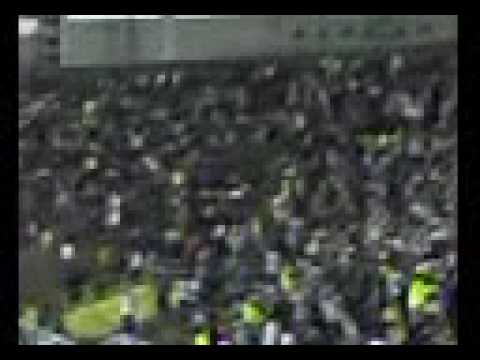 Danilo no Palestra 8x6