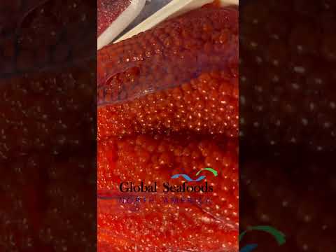 Preparing Salmon Roe for Ikura 🐟 From Fresh Catch to Gourmet Delicacy #Ikura #RedCaviar