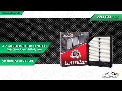 Austausch des Luftfilters beim