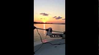 preview picture of video 'Trip to Everglades City: Beautiful Scenery & Tons of Fish!!'