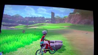 W（ワット）の集め方解説【ポケモンソード＆シールド】