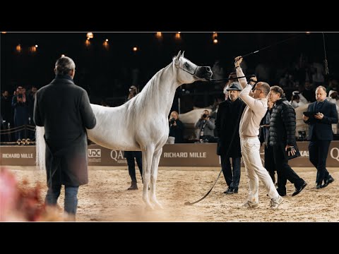 There are destinies that are written in the stars...ALEXXANDERR at 2025 GCAT Doha