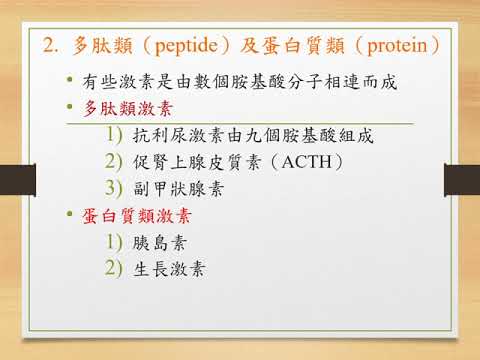 200522 內分泌系統 part 1