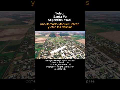 Nelson, Santa Fe desde el Microsoft Flight Simulator #nelson #santafe #msfs #argentina