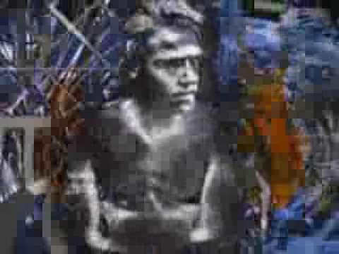 Asphalt Pirates "medicine 23"