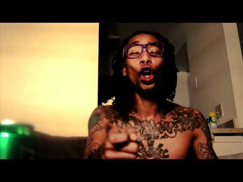 DINOPURPLESTAR -DEEP FREEZER