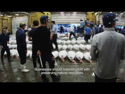 Jiro Dreams of Sushi - Disappearing Fish