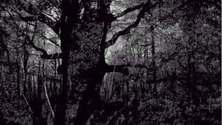 Koyaanisqatsi/Prophecies Philip Glass