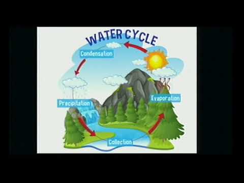 Live Interaction on : Water Cycle Class : VI