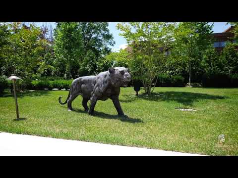 Selected as a 2019 Pinnacle Award Winner by Luxury Pool Magazine