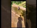Lo Chali Main Shorts Funny Ytshorts