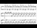 Ravel - Sonatine, No. 3, "Animé"