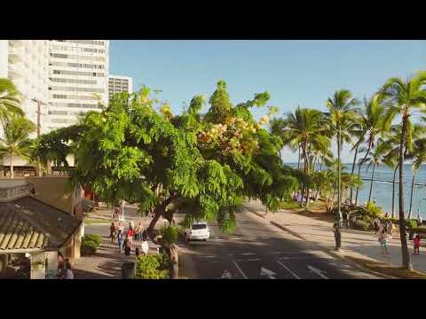 Sunset in Waikiki. Sunset in Honolulu. Real Estate. Diamond Head Views. Hawaiian Neighborhood. Hotels.
