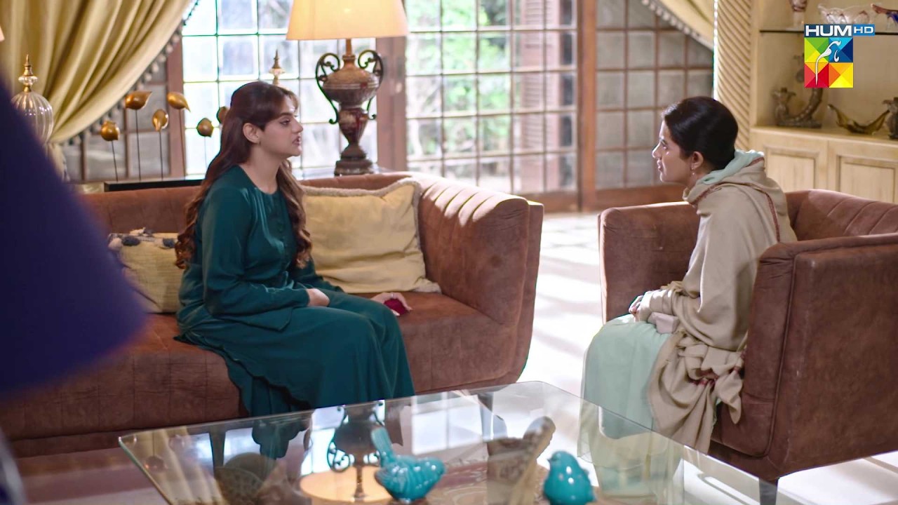 Salaar Bohat Bara Dhokay Baaz Admi Hai..! #sohaialiabro - Sirf Shabana - HUM TV