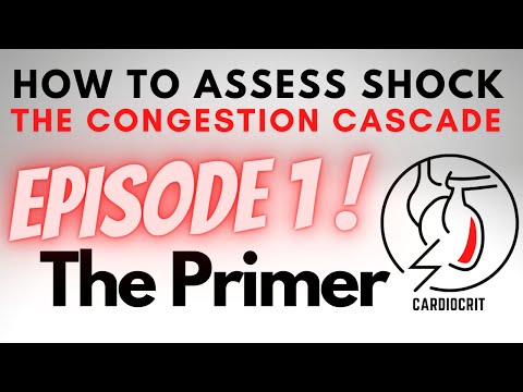 HOW TO ASSESS SHOCK - The Congestion Cascade :  Episode 1 - The Primer