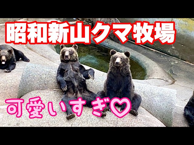 途易集団日本株式会社