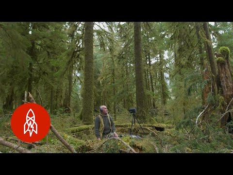 沈黙を守ろうとする男 (The Man Trying to Save Silence)