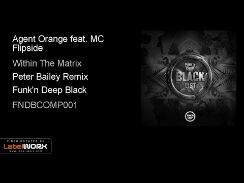 Agent Orange feat. MC Flipside - Within The Matrix (Peter Bailey Remix)