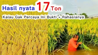 Download lagu LEAK OF 17 TONS OF WORLD'S BEST RICE ‼️Proven to be Abundant if Using this Rice Seed Variety...? mp3