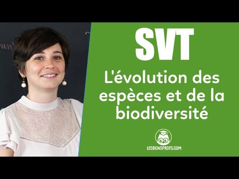 L’évolution des espèces et de la biodiversité expliquée (3ème)