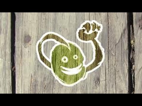 Permaculture au jardin de La Graine Indocile