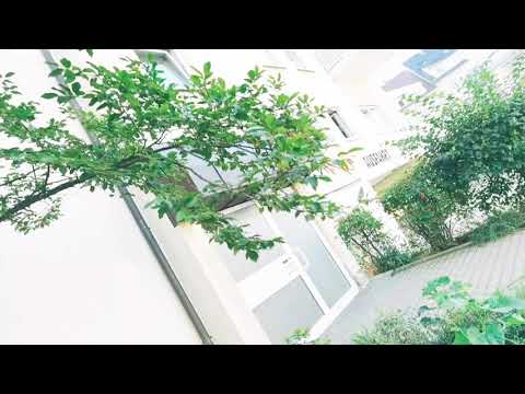 3-Zimmer-Wohnung mit Balkon und Tageslichtbad in Nürnberg St.-Johannis