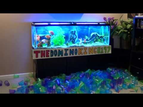 Интересни трикове с домино