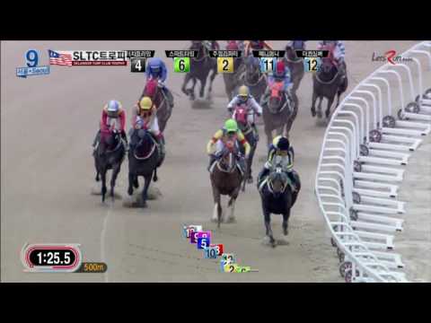 Selangor Turf Club Trophy, 1800m