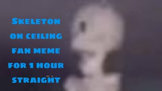 Skeleton on ceiling fan meme for 1 hour straight
