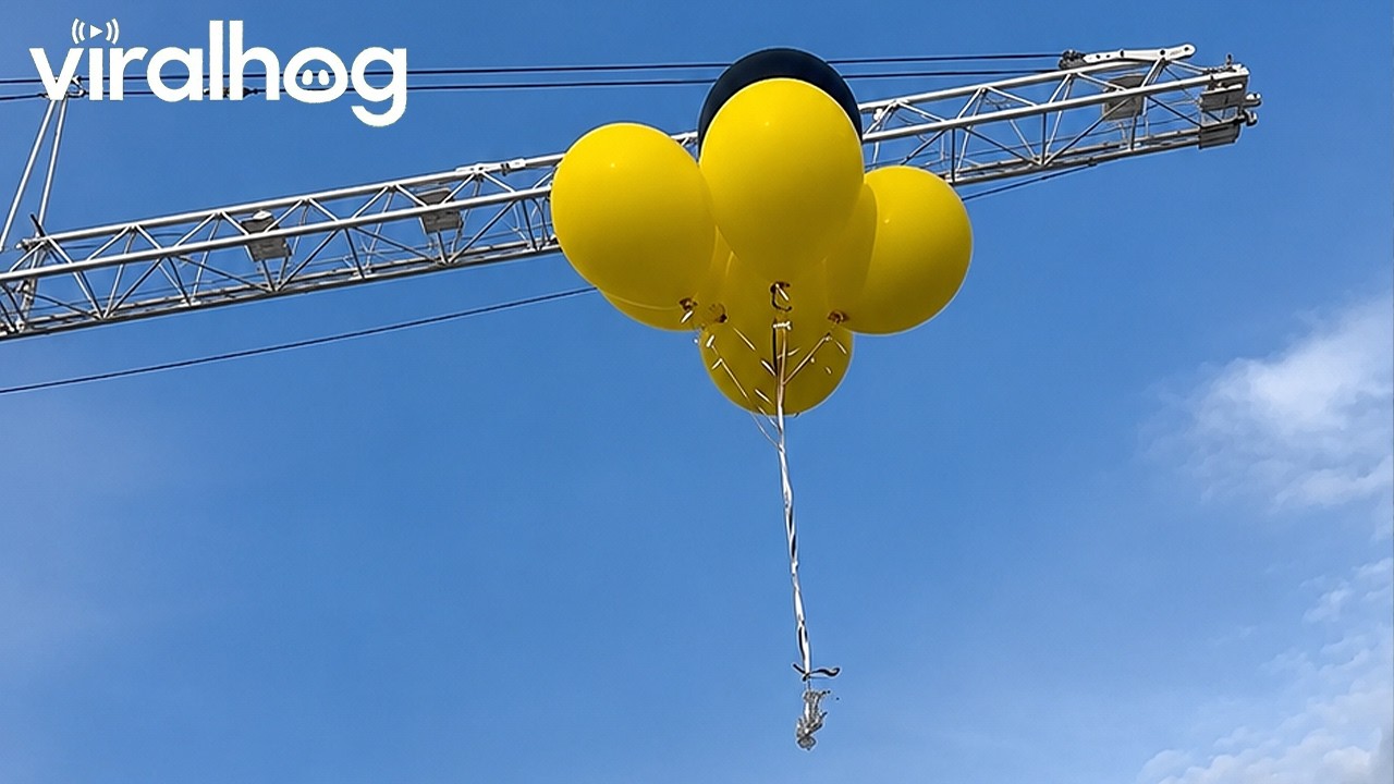 Balloons Move Straight Into Outstretched Hand || ViralHog