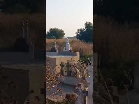 Dezastru într-un cimitir din Segarcea Vale  Teleorman